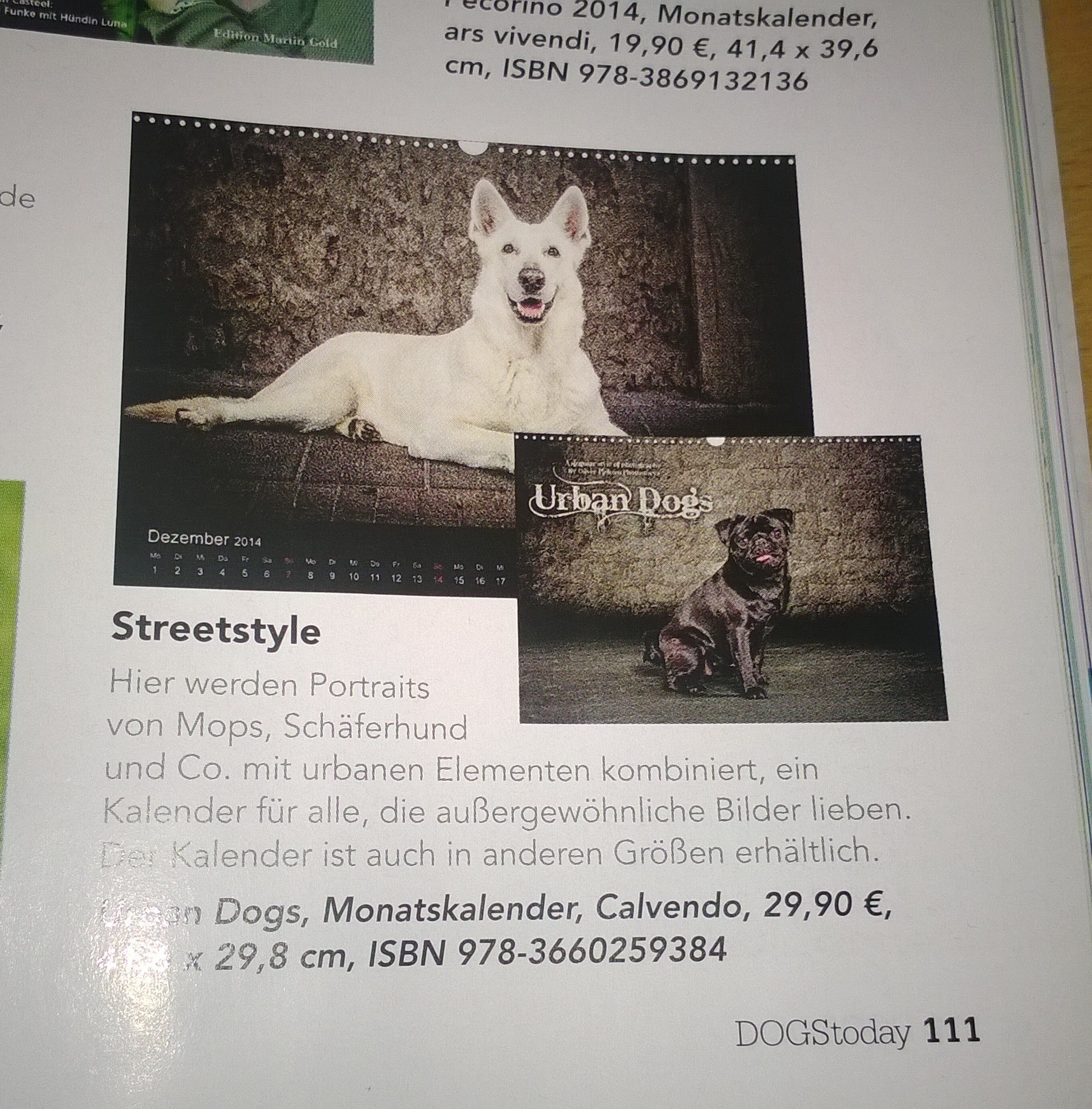 Schaufenster und Magazin