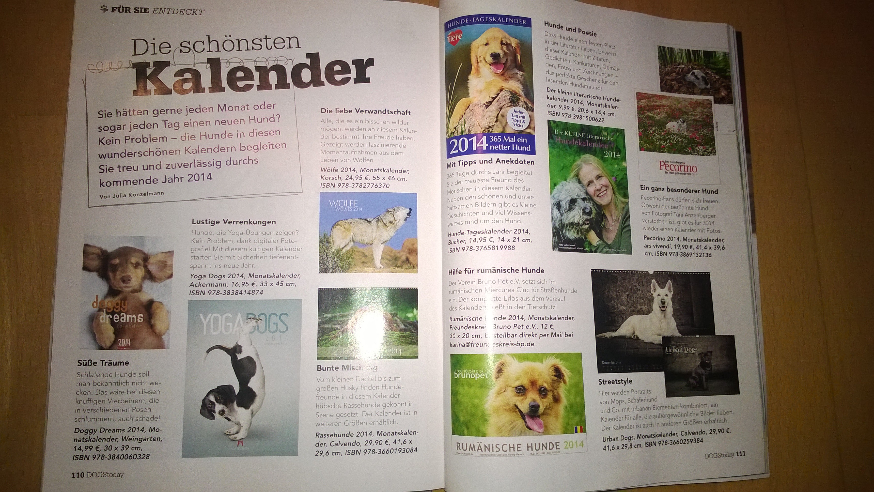 Schaufenster und Magazin